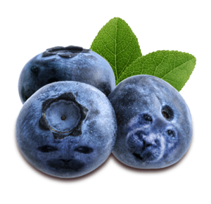 Okinberries.png