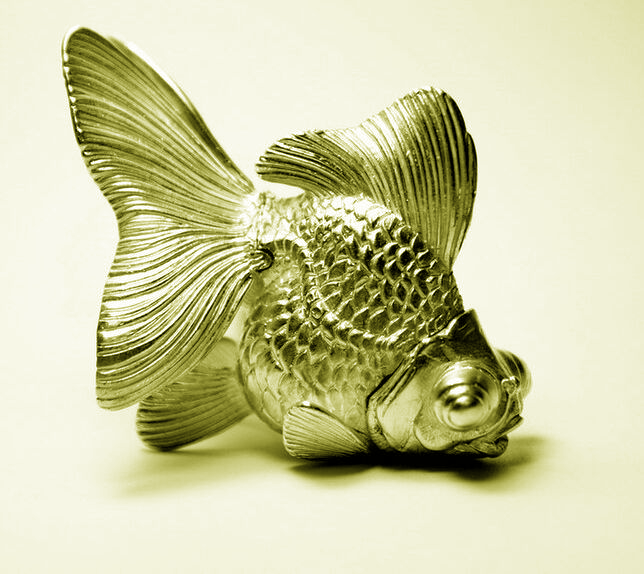 File:Goldfish.png