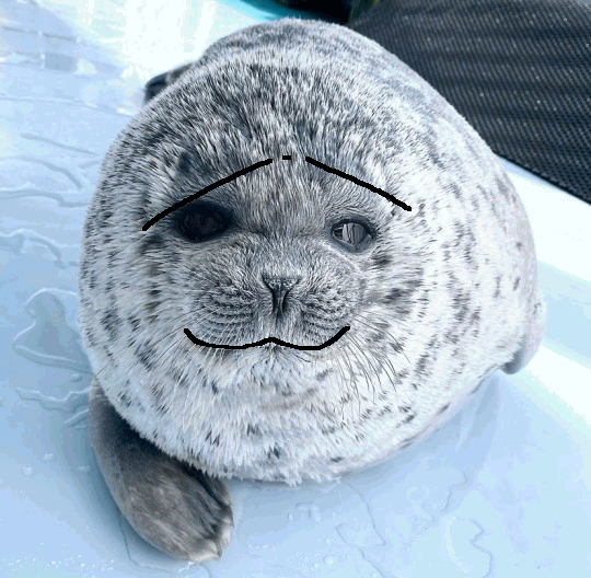 File:Caring Pontalke.gif