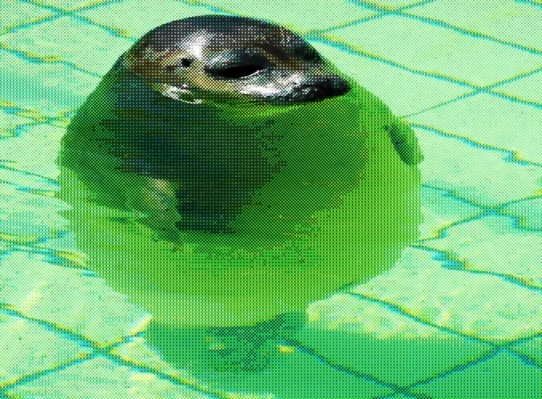 File:Ortno.png