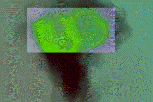 a crappy tree-shaped blob, lovingly dithered into oblivion.