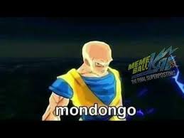 mondongo