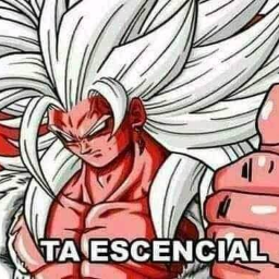 File:Ta esencial.png