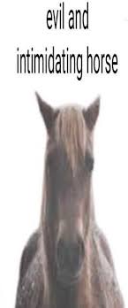 Evil and intimidating horse.jpg