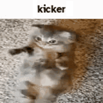 File:Kicker.gif