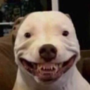 Its smile leaves much to be desired.