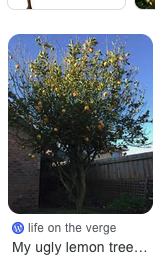 File:Lemon Tree.png