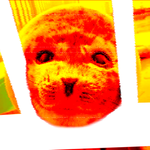 File:Damnedseal.png