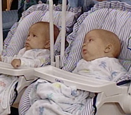 [image id: it's the two baby boys from full house /end id]