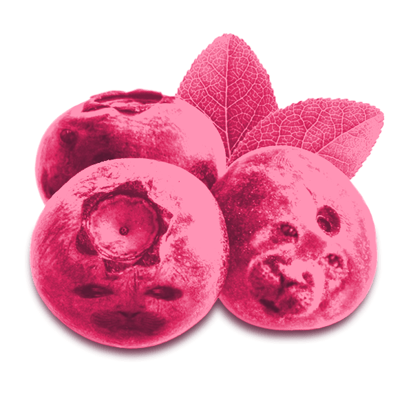 File:Loveberries.png