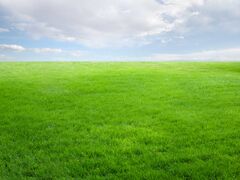 The place from My Singing Monsters IDK