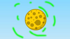 Prop fight 2 0011.jpg