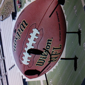 Zeitgeist Voting Icon 2.png