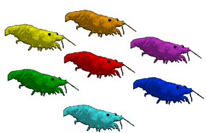 The Seven Shrimp Souls.png