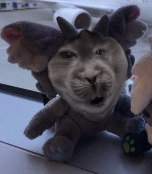 BLFC lost plush.png