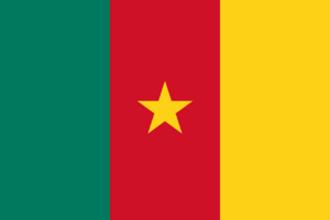 Flag of Cameroon.png