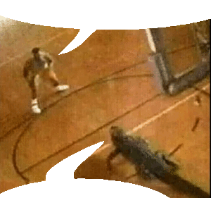 Man and alligator.gif