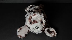 Basket Ball's voting icon