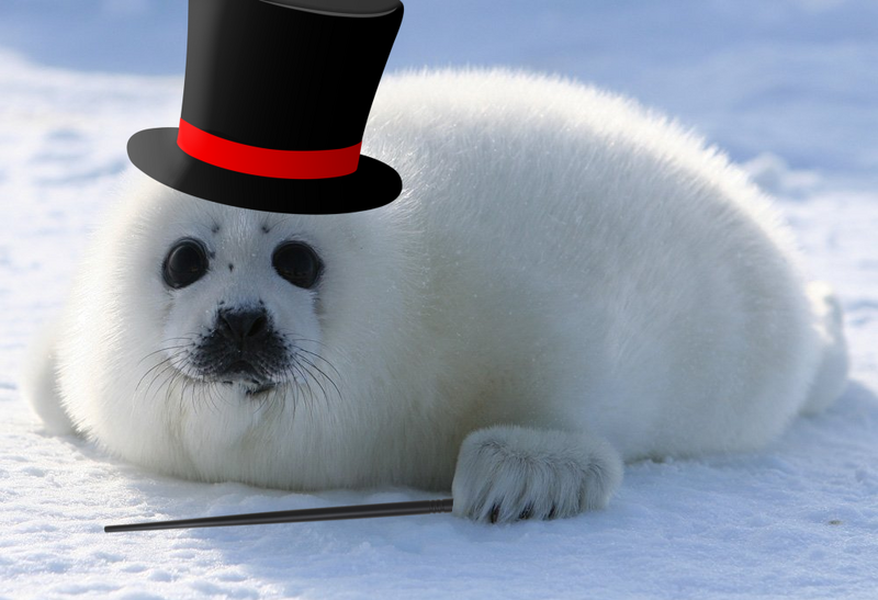 File:Magical seal.png