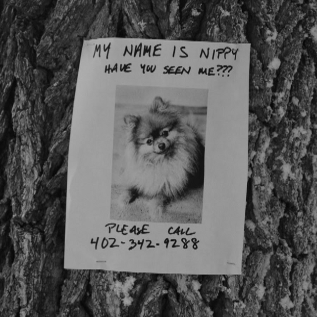 Nippy The Wiki Camp 2