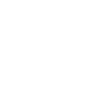 Nerpapunch logo or at least my interpretation of it.png