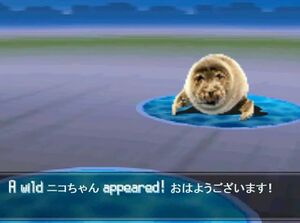 A wild nerpa appear!.jpg