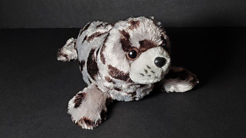 File:1 who is this.jpg