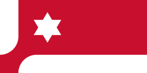 Flag of Michael Alone.png