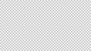 Foolish transparency.png