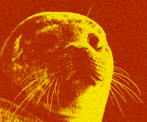 Damned realization.png