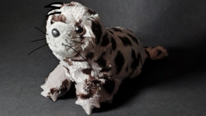 Anatomy who is this.png