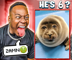 Zamn seal.png