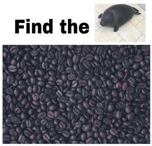 Find the kroshik.jpg