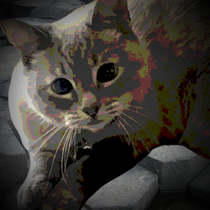 Nina voting icon.png