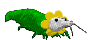 Flowey Shrimp.png