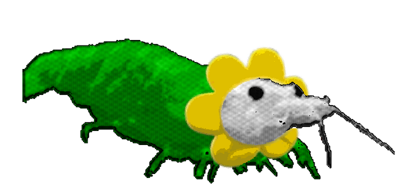 File:Flowey Shrimp.png
