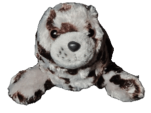 Clap who is this.gif