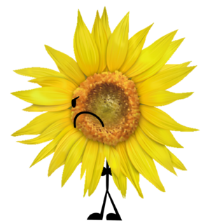Wiki flower blooms again.png