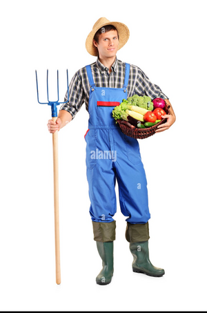 Farmer.png