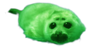 DiaNerpa Green.png
