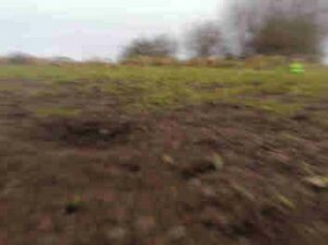 Multiball sighting.jpg