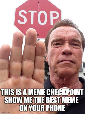 Meme Checkpoint.png