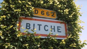 The sign for the city of Bitche, hiding in the bushes