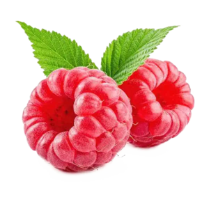 Raspberries2.png
