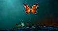 Thumbnail for version as of 04:28, 24 May 2026