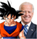 GokuJoeBiden