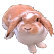 This a trout I think