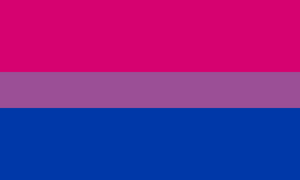 Bisexual Pride Flag.svg.webp