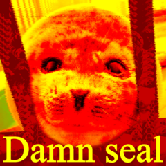 Damn seal