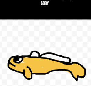 Goby.png